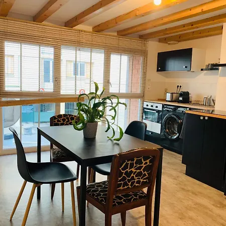 아파트 Loft 60m2 2-4 Personnes Avec Garage Et Wifi 3 Rue St Joseph St Etienne Proche Centre-ville 생테티엔